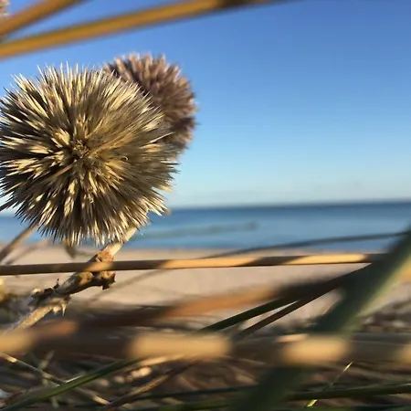 Ferienwohnung Stranddistel Kuehlungsborn