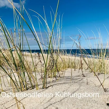 Ferienwohnung Stranddistel *